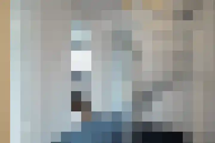 Asterstraat 4 Wierden thumbnail 16