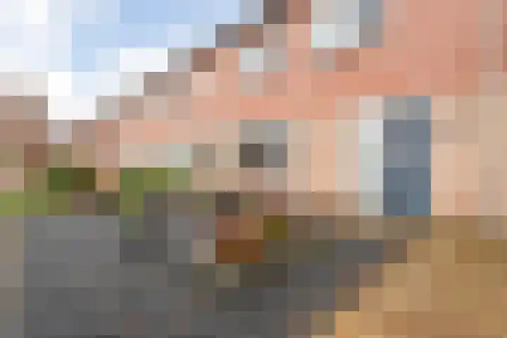Asterstraat 4 Wierden thumbnail 4
