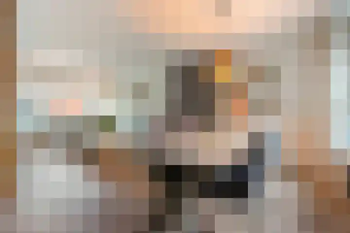 Asterstraat 4 Wierden thumbnail 9