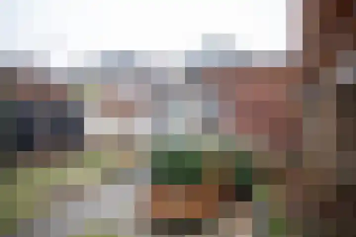 Asterstraat 6 Almelo thumbnail 54