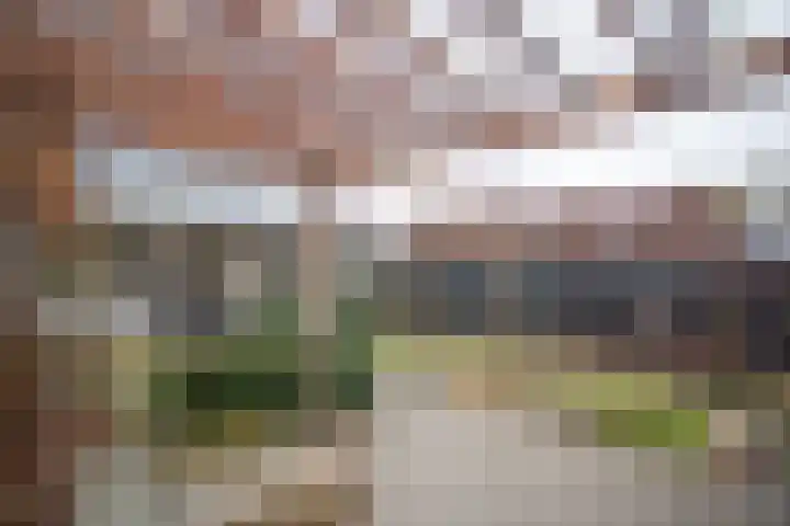 Asterstraat 6 Almelo thumbnail 55