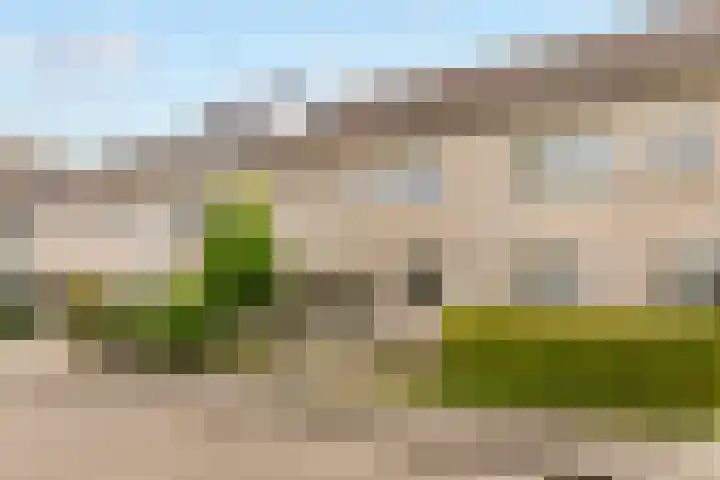 Asterstraat 6 Almere thumbnail 4