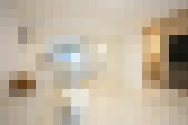 Asterstraat 69 Geleen thumbnail 8