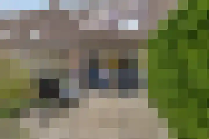 Astertuin 19 Zoetermeer thumbnail 15