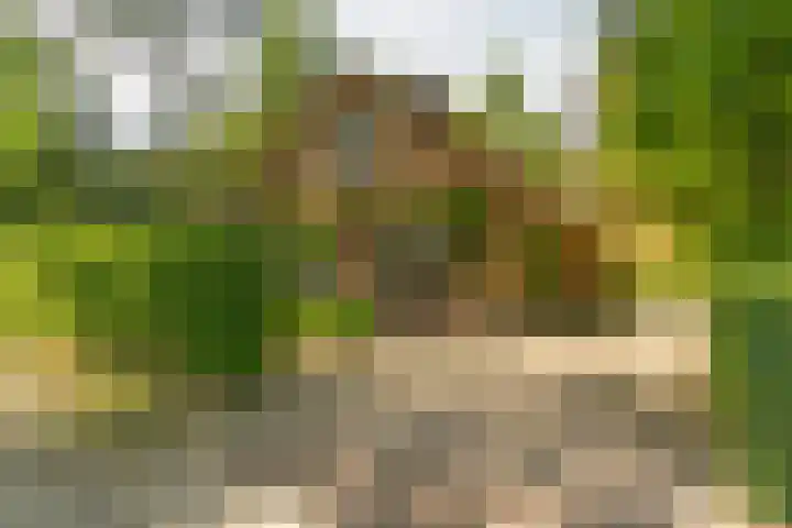 Astridlaan 5 Nunspeet