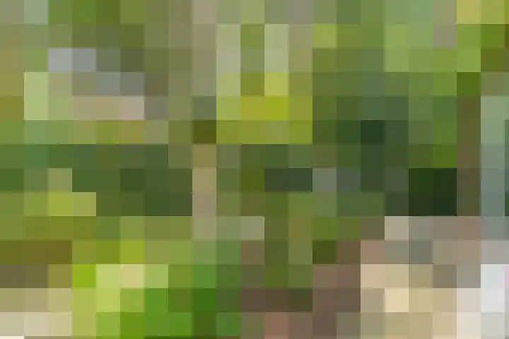 Astridlaan 5 Nunspeet foto 3