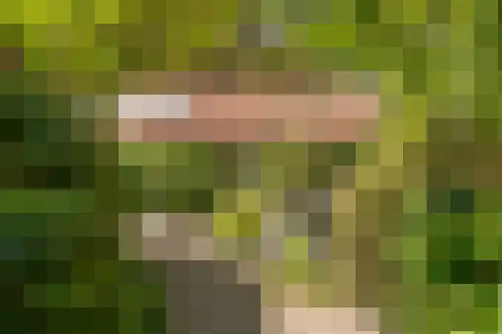 Astridlaan 5 Nunspeet thumbnail 38
