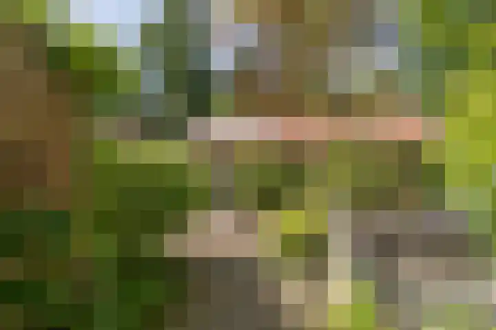 Astridlaan 5 Nunspeet thumbnail 39