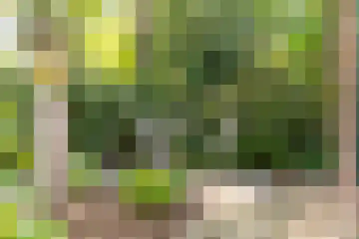 Astridlaan 5 Nunspeet thumbnail 4