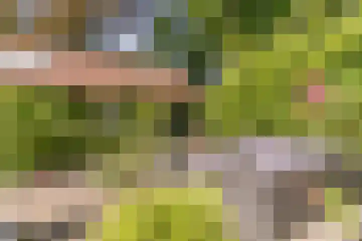 Astridlaan 5 Nunspeet thumbnail 40