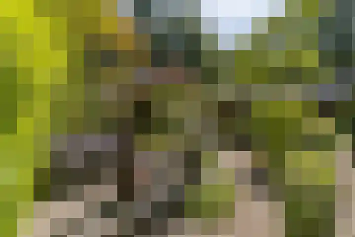 Astridlaan 5 Nunspeet thumbnail 41