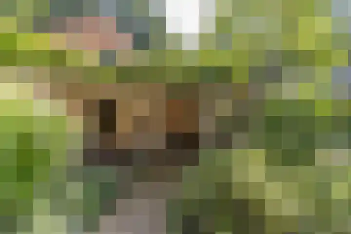 Astridlaan 5 Nunspeet thumbnail 42