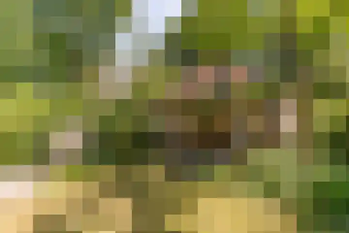 Astridlaan 5 Nunspeet thumbnail 46