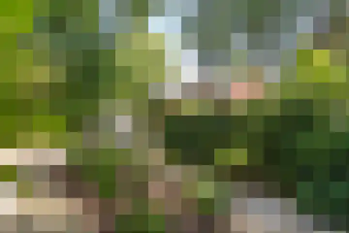 Astridlaan 5 Nunspeet thumbnail 5