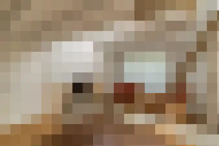 Astridlaan 5 Nunspeet thumbnail 51