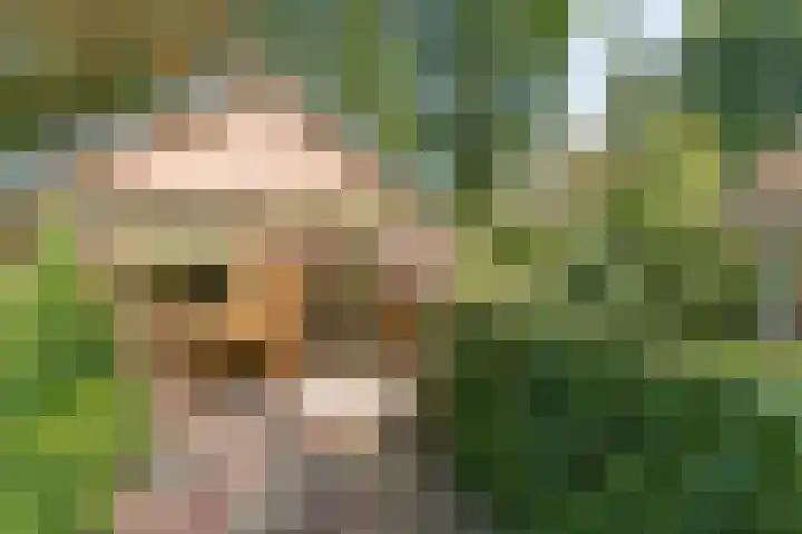 Astridlaan 5 Nunspeet thumbnail 58