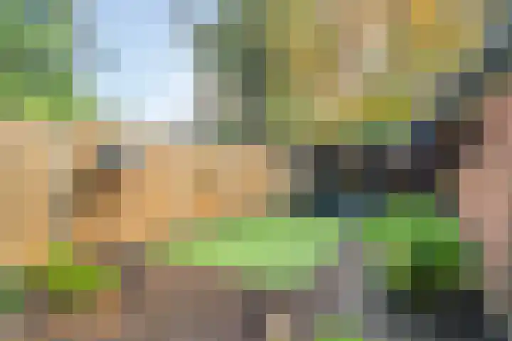 Astridlaan 64 Nunspeet thumbnail 34
