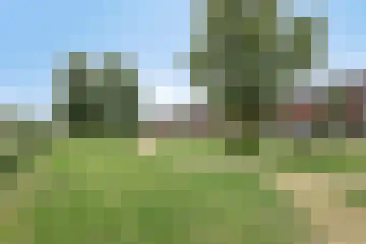 Asturiëstraat 15 Lent thumbnail 38