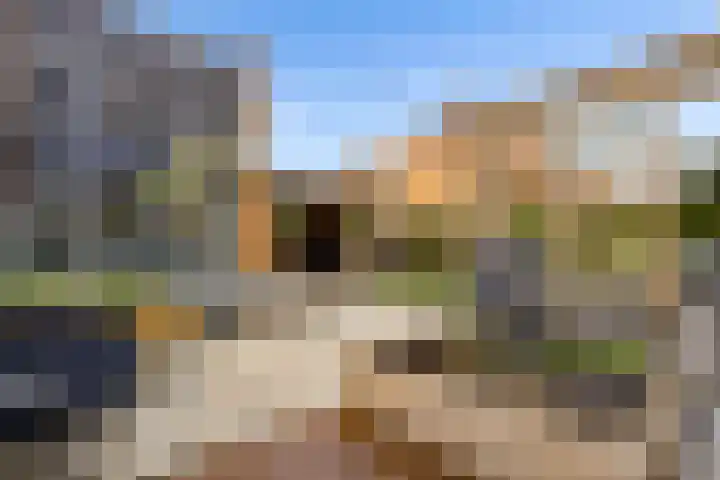 Atalanta 126 Zeewolde thumbnail 61