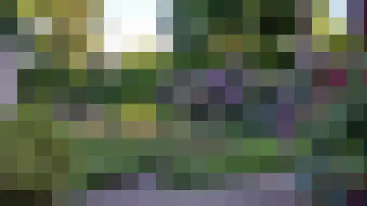 Atalanta 30 Rijen thumbnail 35
