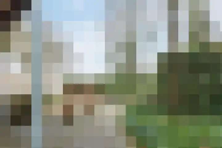 Atalanta 30 Rijen thumbnail 39