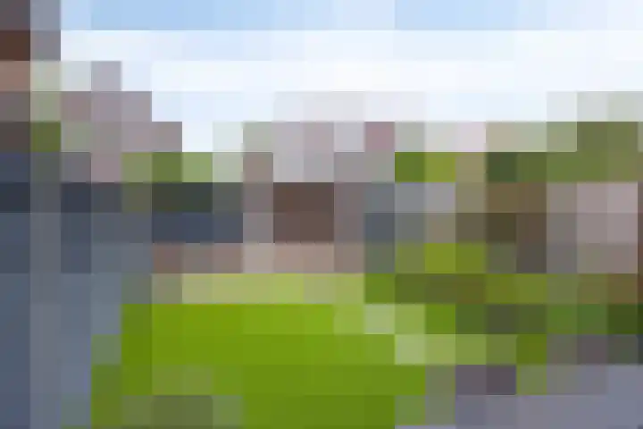 Atalanta 35 Holten thumbnail 26