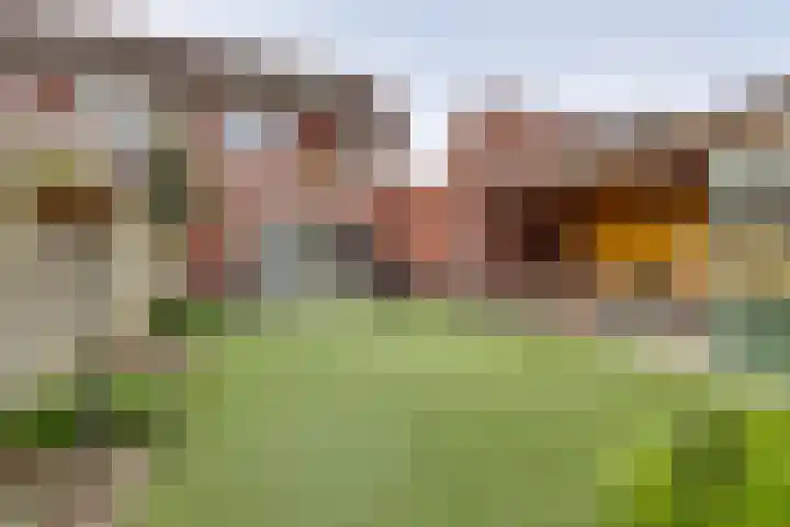 Atalanta 39 Holten thumbnail 26