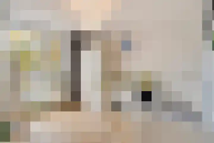 Atalanta 52 Deventer thumbnail 21