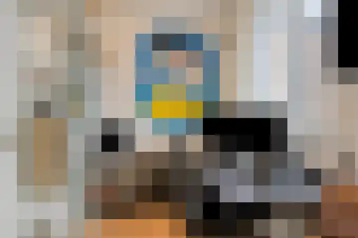 Atalanta 52 Deventer thumbnail 24