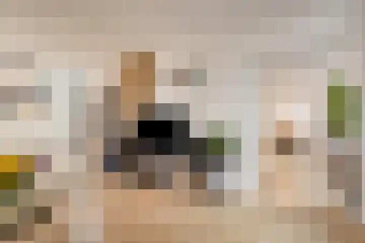 Atalanta 52 Deventer thumbnail 7