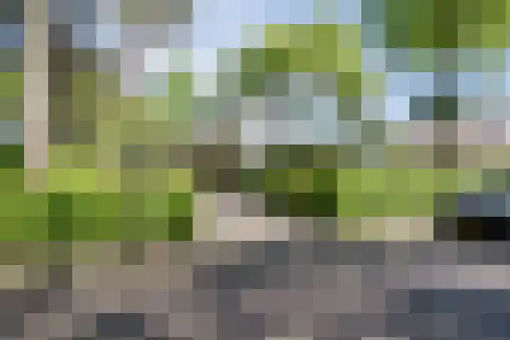 Atalanta 58 Rijen thumbnail 37