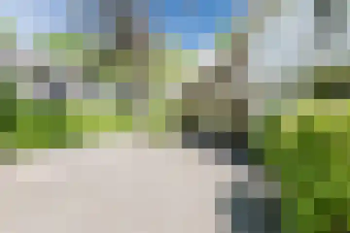 Atalanta 58 Rijen thumbnail 38