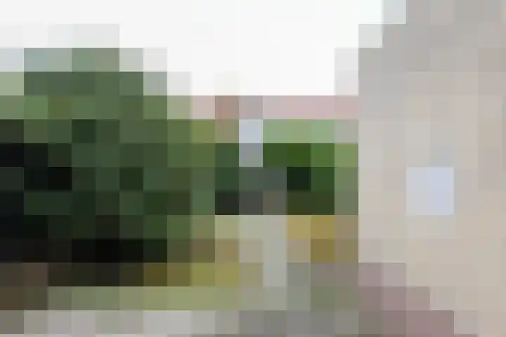 Atalanta 7 Zeewolde thumbnail 23