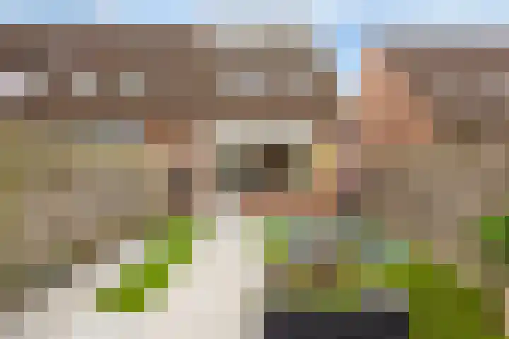 Atalanta 73 Deventer thumbnail 29