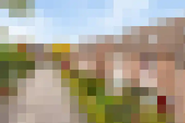 Atalanta 73 Deventer thumbnail 30