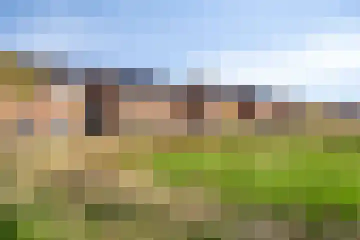 Atalanta 76 Someren thumbnail 12