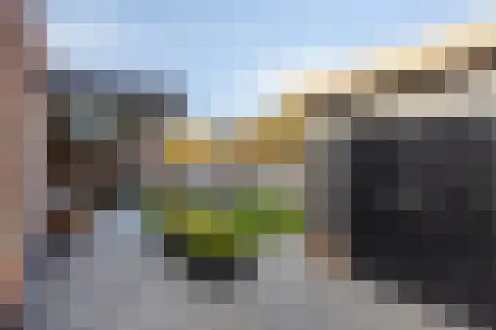 Atalanta 76 Someren thumbnail 57