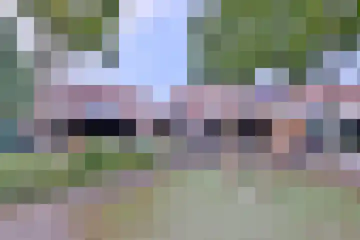 Atalanta 95 Deventer thumbnail 33