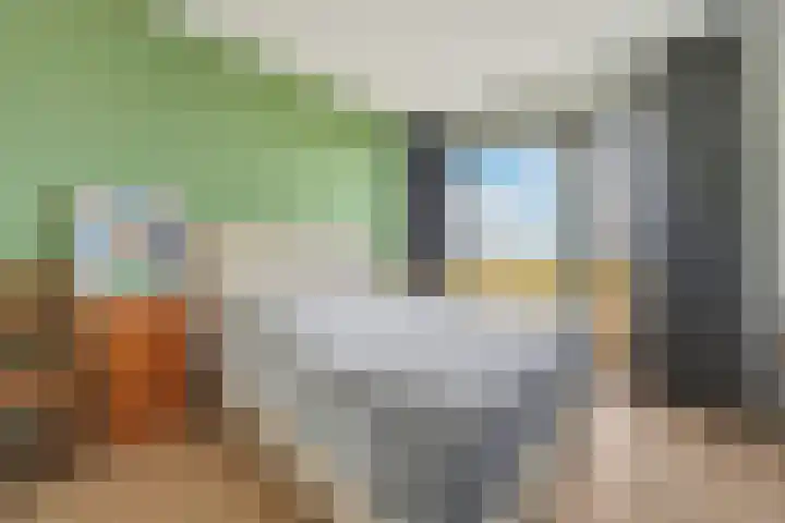 Atalantalaan 261 Middelburg thumbnail 22