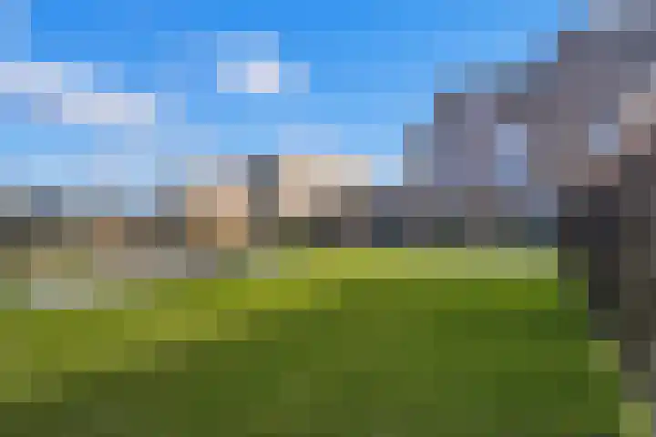 Atalantalaan 261 Middelburg thumbnail 4