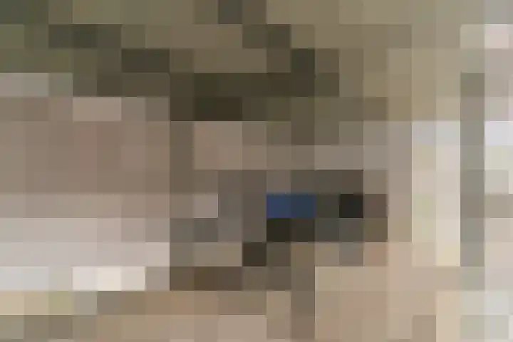 Atalantalaan 56 Aalsmeer thumbnail 26