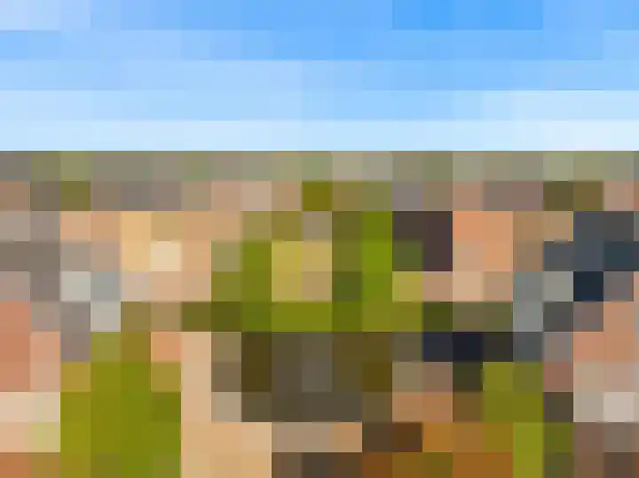 Atalantalaan 56 Aalsmeer thumbnail 32