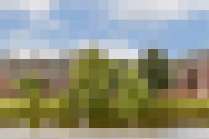 Atalantalaan 73 Aalsmeer thumbnail 12