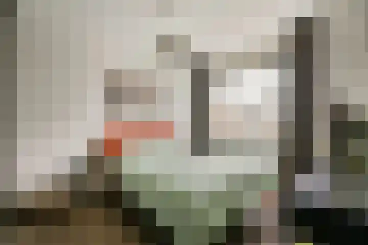 Atalantalaan 73 Aalsmeer thumbnail 14