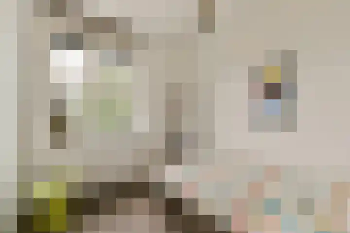 Atalantalaan 73 Aalsmeer thumbnail 16