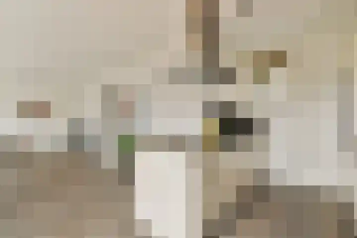 Atalantalaan 73 Aalsmeer thumbnail 8