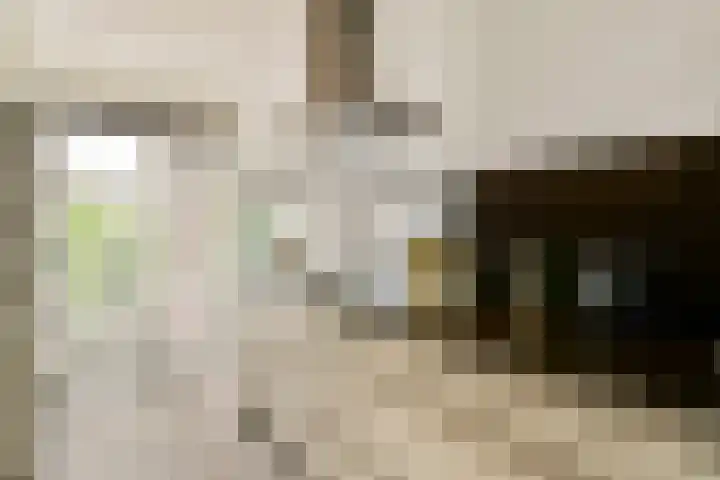 Atalantalaan 73 Aalsmeer thumbnail 9