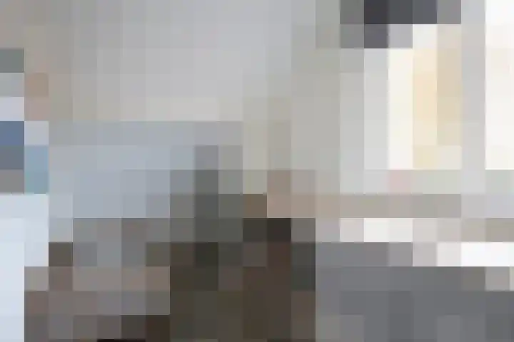 Atalantastraat 53 Oss thumbnail 19