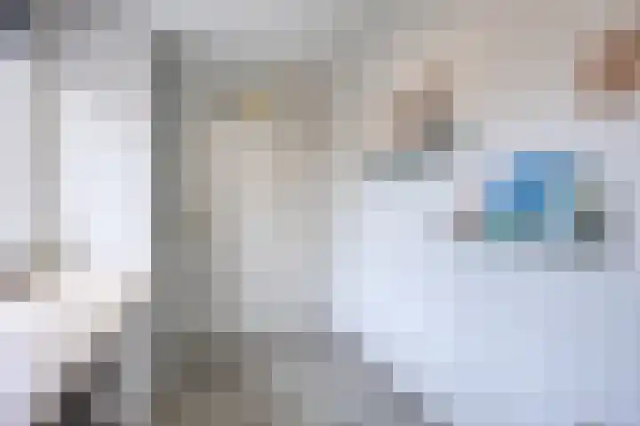 Atalantastraat 53 Oss thumbnail 20