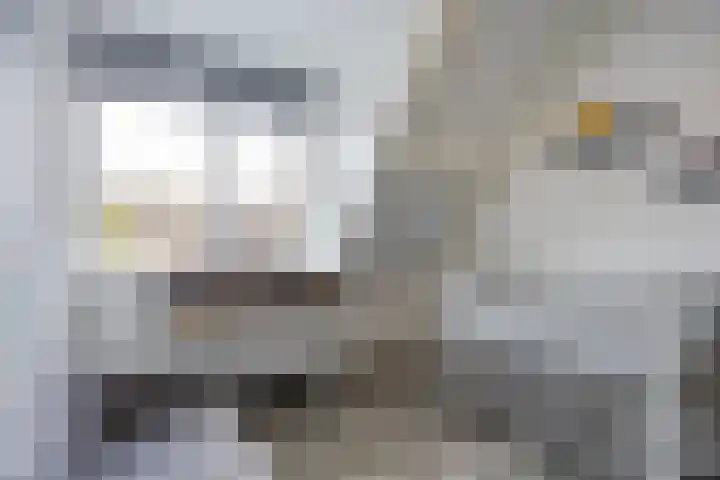 Atalantastraat 53 Oss thumbnail 21